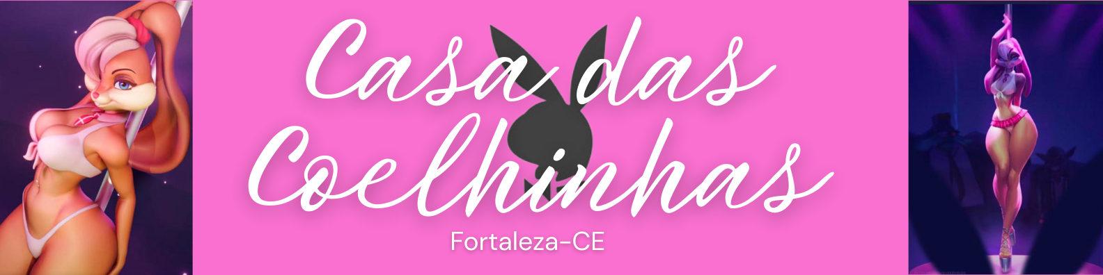 Banner Coelhinhas